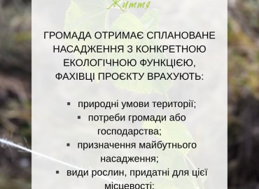 ПЛАНУЄТЕ ЦІЄЇ ОСЕНІ ПОСАДИТИ ДЕРЕВА АБО СТВОРИТИ ІНШЕ ЗЕЛЕНЕ НАСАДЖЕННЯ В ГРОМАДІ?