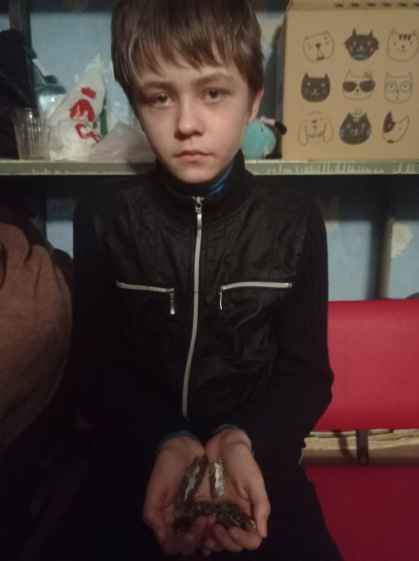 Зображення
